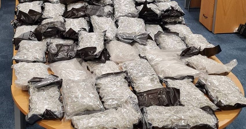  Cannabis value at €1m seized and man arrested in Dundalk