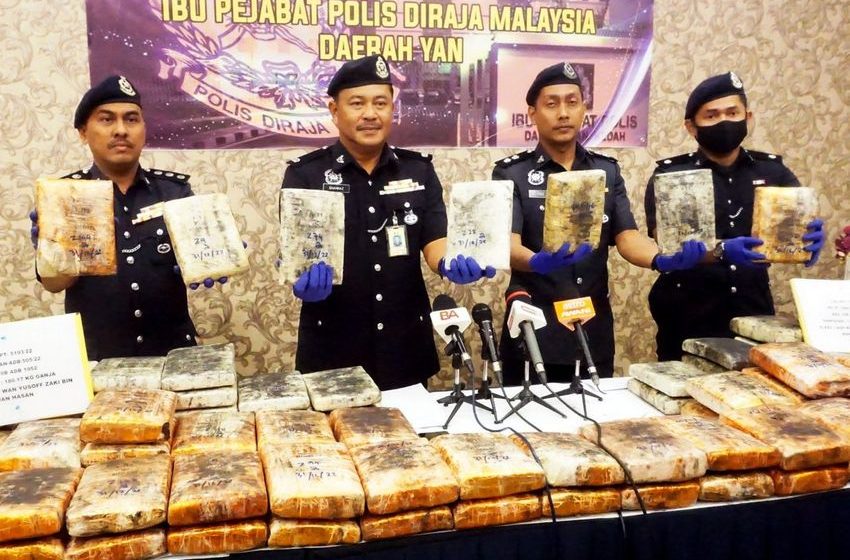  Cannabis worth RM500,000 found floating in canal