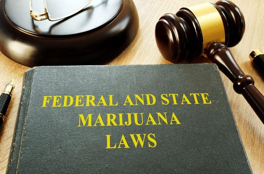  The 2023 U.S. Cannabis Policy Reform Horizon