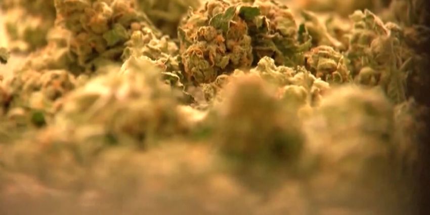  MARIJUANA CASES EXPUNGED: Greene County’s circuit clerk explains timeframe