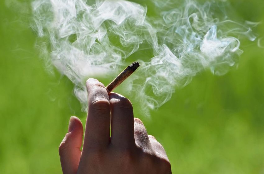  Smoking weed daily can damage your heart, study finds