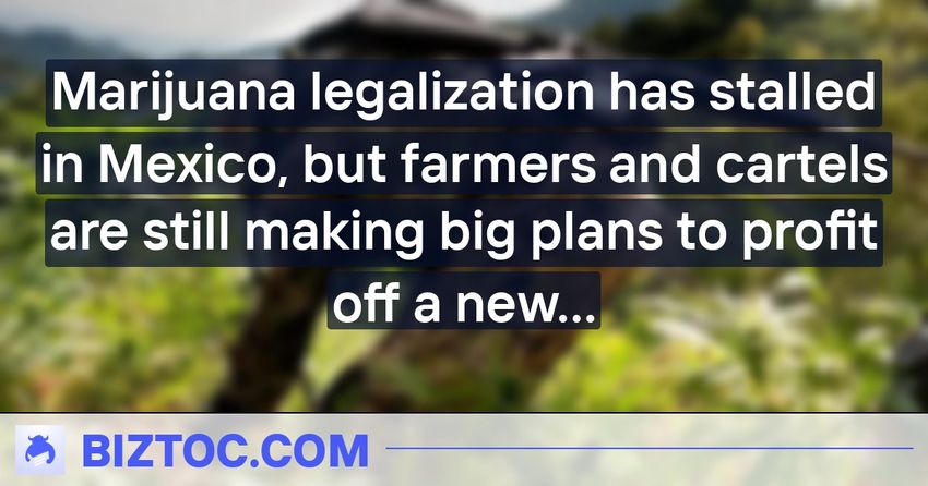  Marijuana legalization has stalled in Mexico, but farmers and cartels are still making big plans to profit off a new market