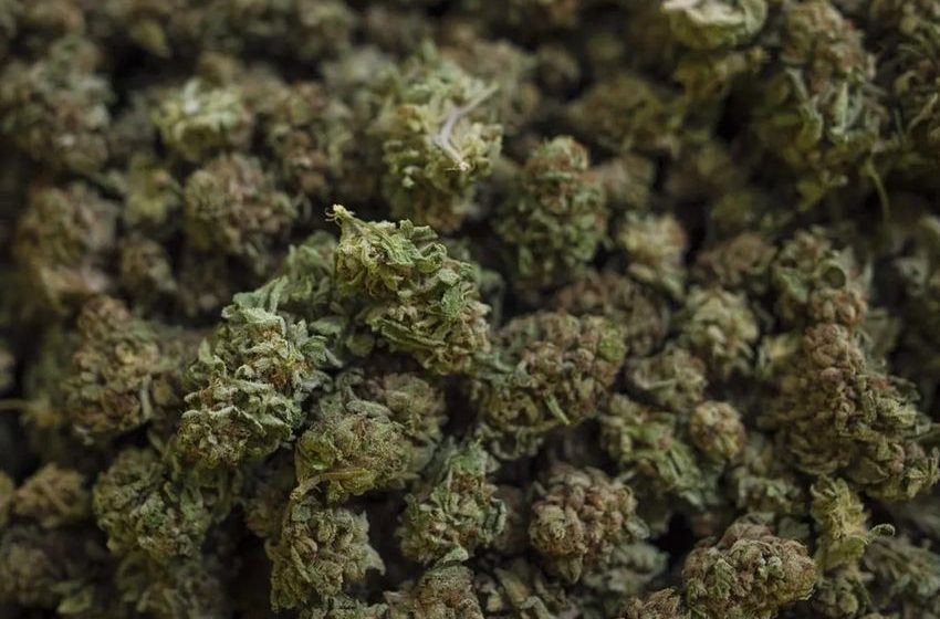  Ontario cannabis shop sales data circulating, provincial pot regulators investigate