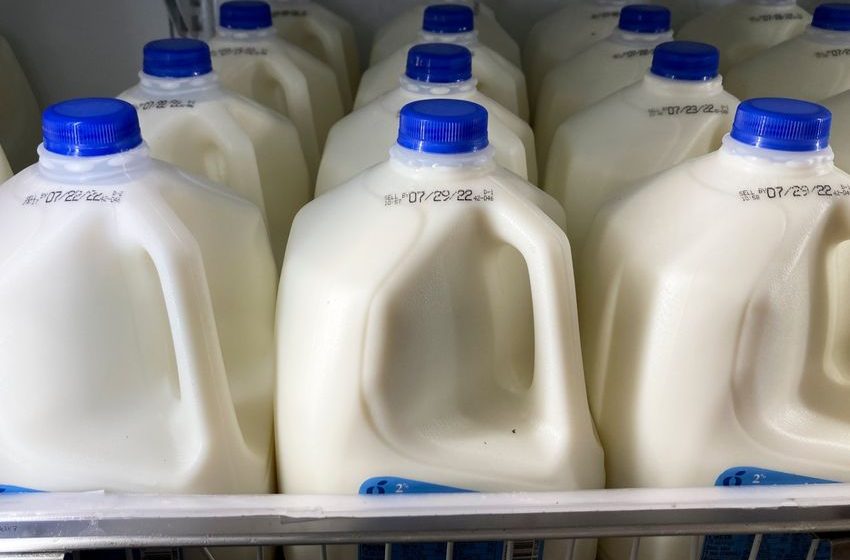  No cow needed: Oat and soy can still be called ‘milk’, FDA proposes