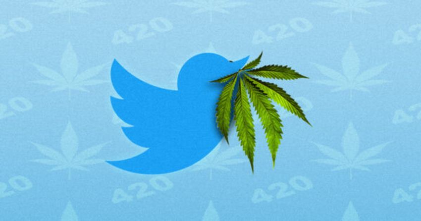  420 Comes Early: Cannabis Brands Roll Out First Paid Ads on Twitter