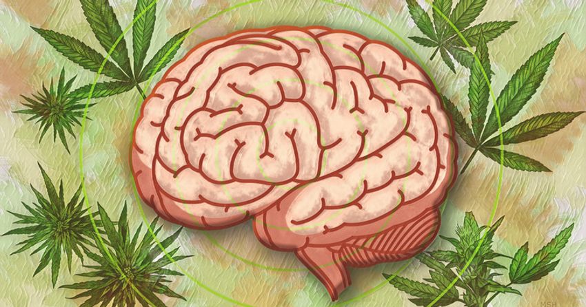  Yale digs into the science of cannabis