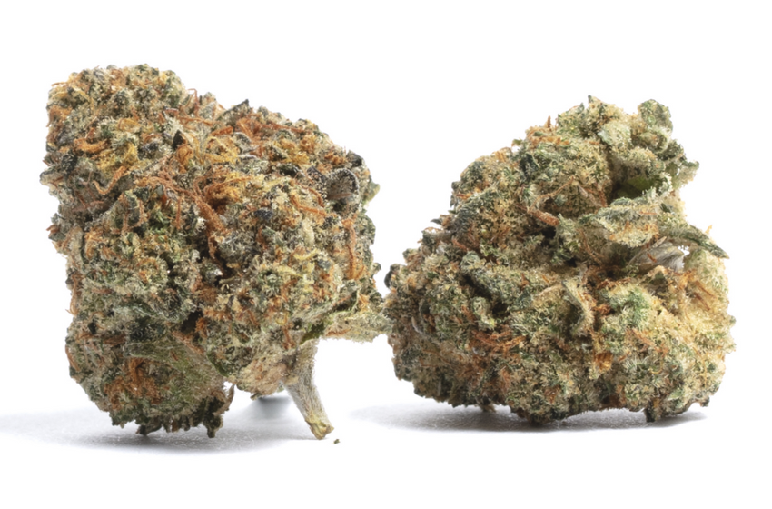  How Strong Is the Wedding Crasher Strain? 4 Things Beginners Should Know