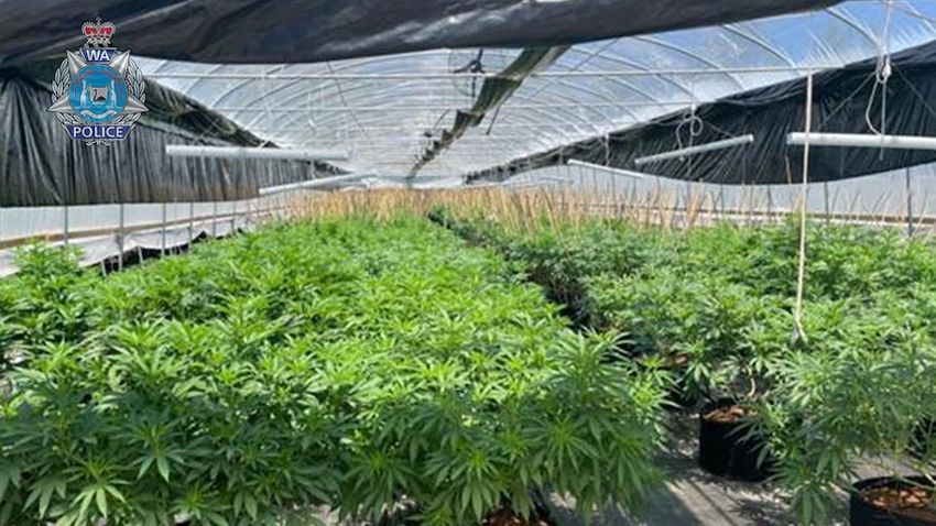  Million-dollar commercial cannabis operation at a rural Wheatbelt property