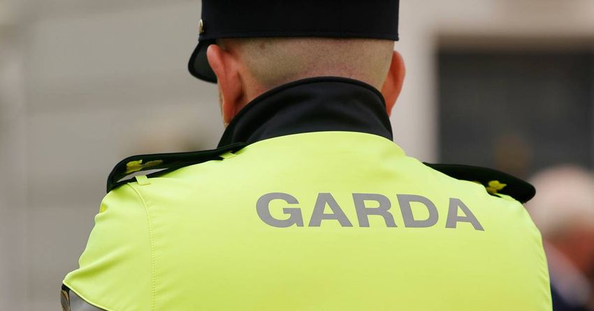  Two arrested after drugs worth €240,000 seized in Carlow