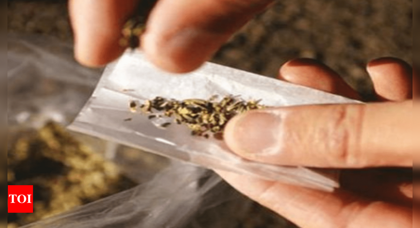  Is possessing, selling ganja seeds also an offence? SC to decide