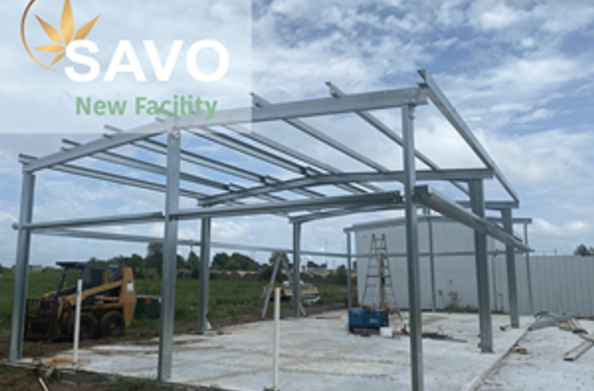  SAVO Cannabis Launches New Genetics Facility