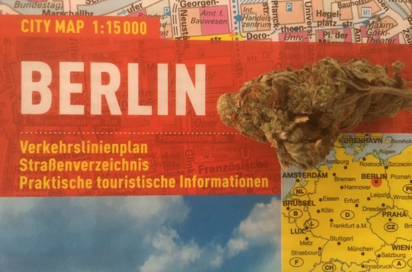  [Interview] Legalising cannabis: Germany first, Europe next?