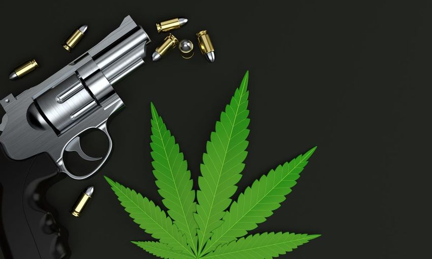  Gun Ban For Marijuana Users Is Unconstitutional, U.S. Judge Rules