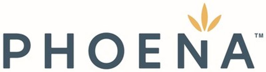  Phoena Announces Resignation of CEO, Greg Guyatt and Appoints Corné Melissen as Interim CEO