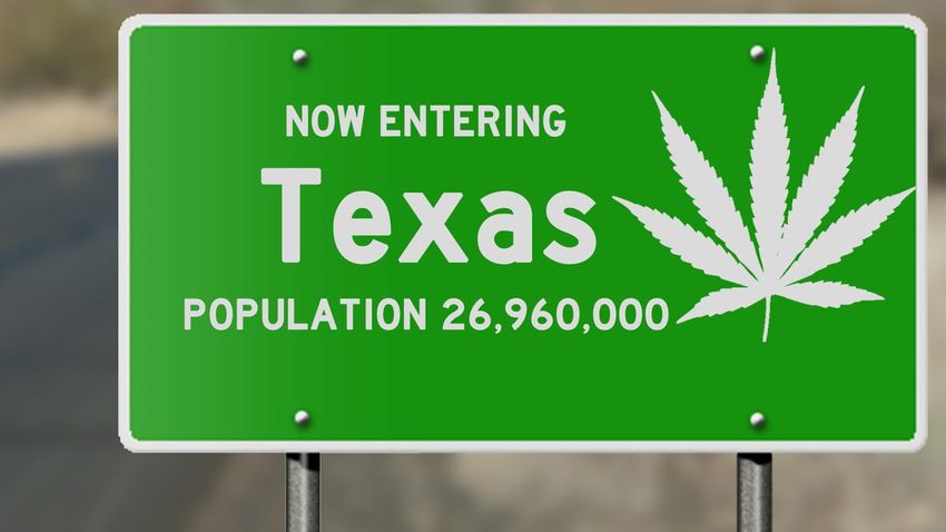  Texas Bill Would Allow Local Marijuana Legalization