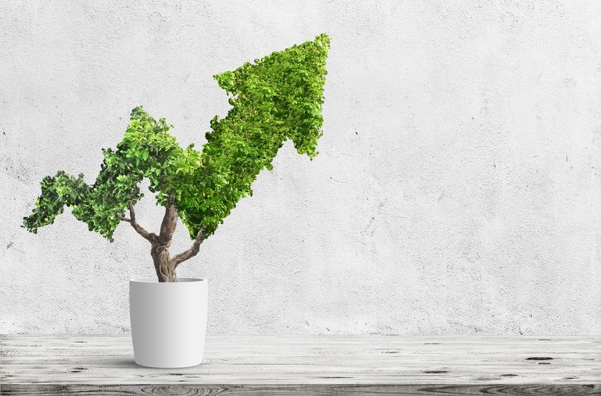  Is Green Thumb Industries Stock a Buy Now?