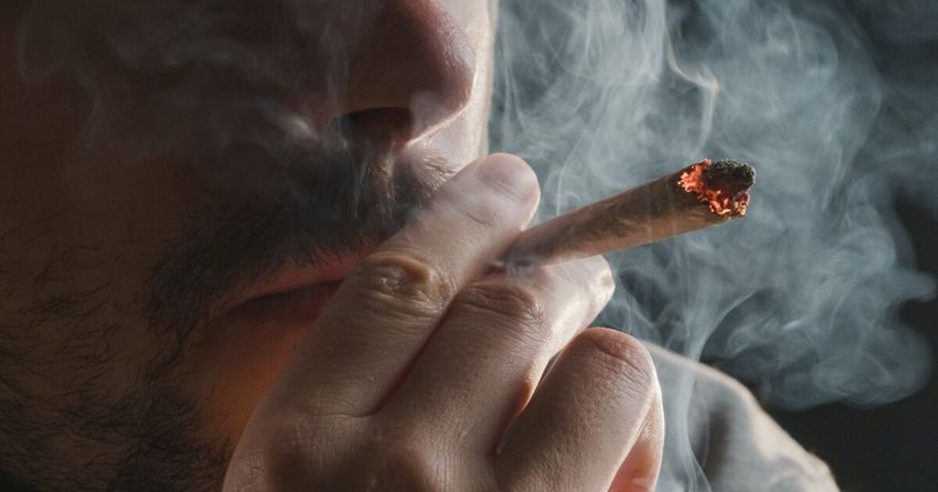  Daily cannabis use linked to spike in coronary artery disease