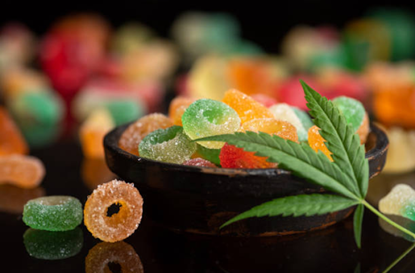  Best THC Gummies To Buy In 2023: Top 5 Weed Edibles