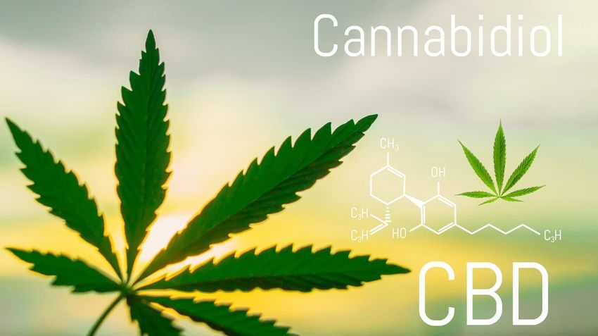  CBD is not a cure-all – here’s what science says about its real health benefits