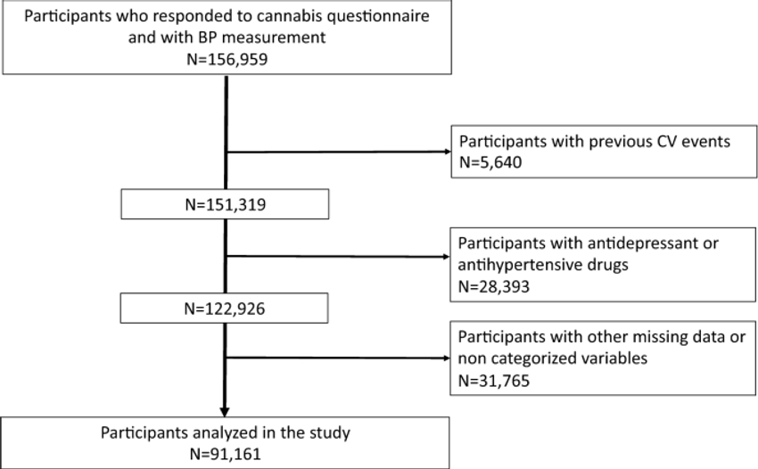  Association between cannabis use and blood pressure levels according to comorbidities and socioeconomic status