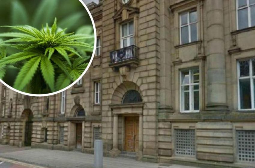  Banned Blackburn driver had cannabis and cocaine in system