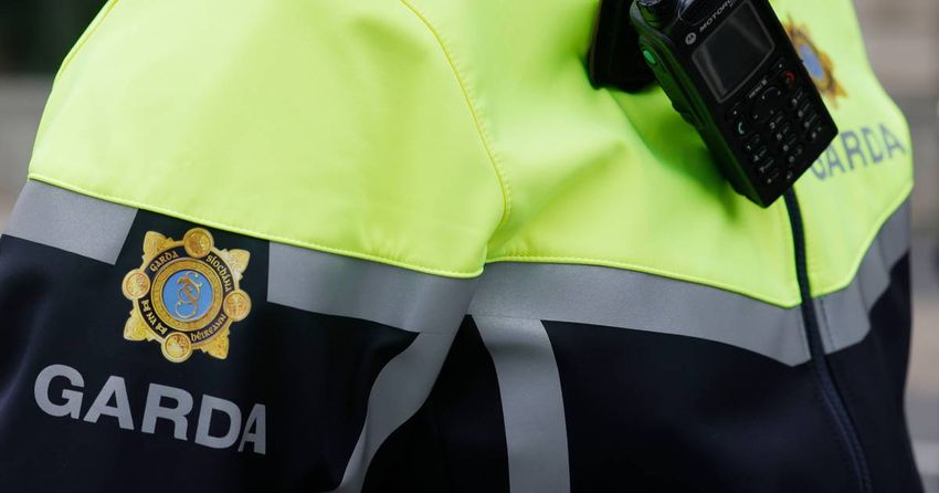  Three arrested after cannabis found in Cork, Dublin searches