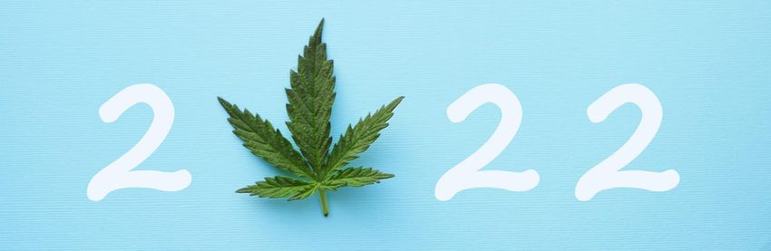  2022 Cannabis In Review And 2023 Opportunity Outlook