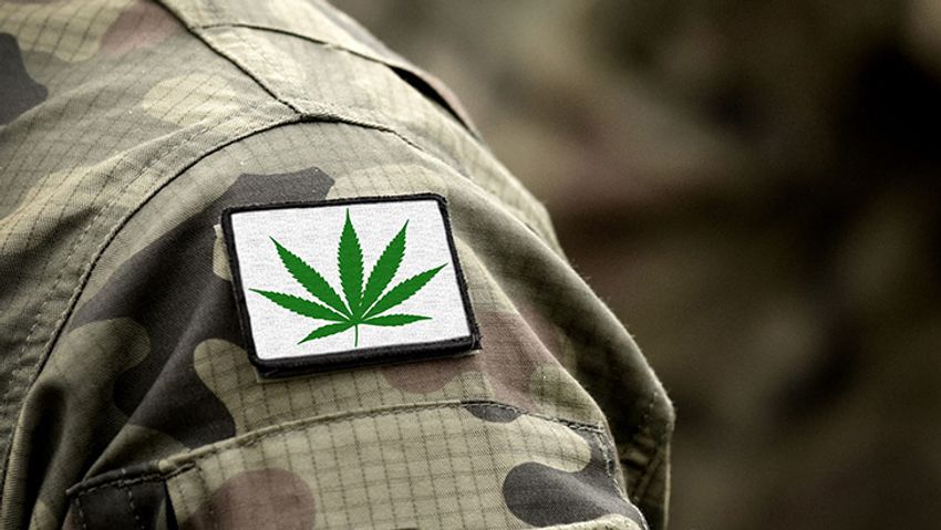  US Senate Committee Advances Bill Facilitating Cannabis Research Among Veterans