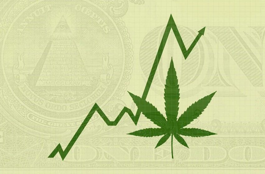  What Cannabis Stocks Should Be In Your Portfolio?