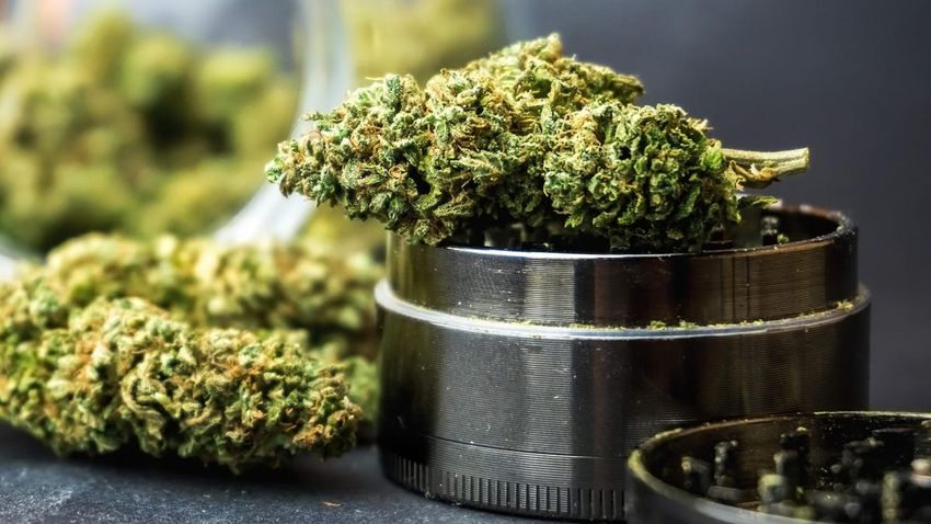  Marijuana Use Could Increase Chances For Heart Disease, Study Suggests