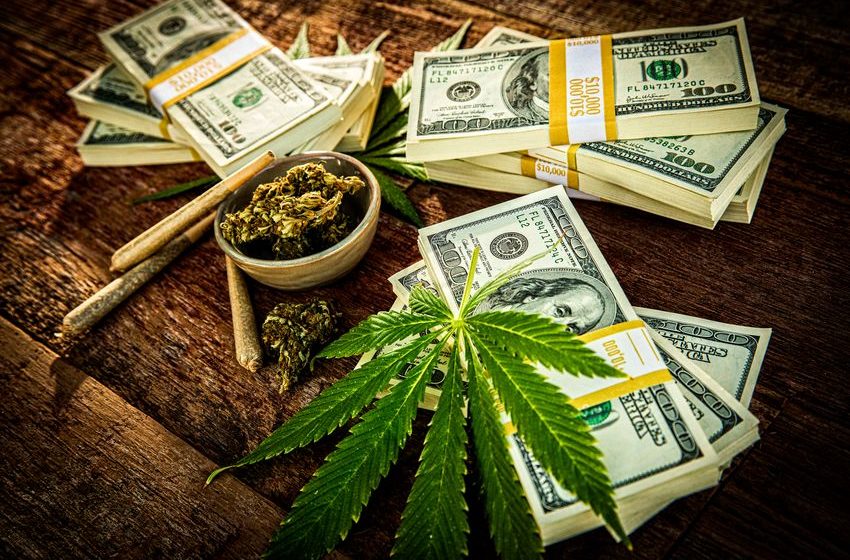  2 Best Cannabis Stocks to Buy for February