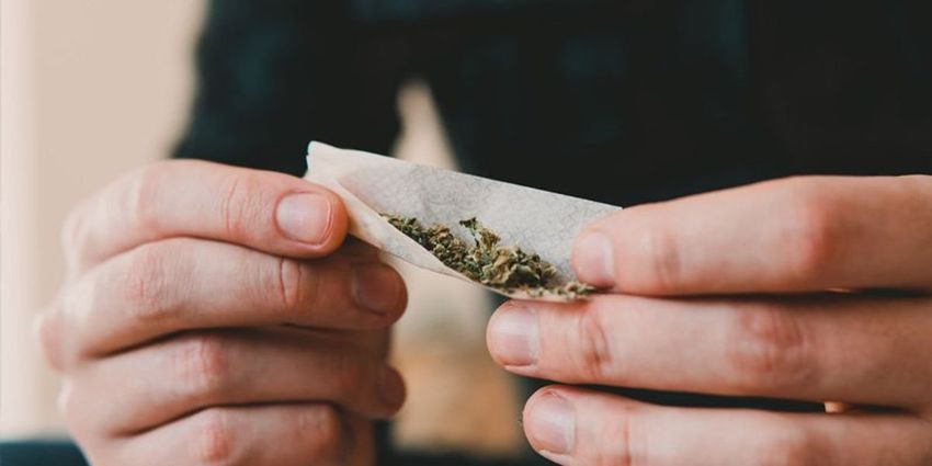  Daily cannabis use linked to boosted risk of heart disease