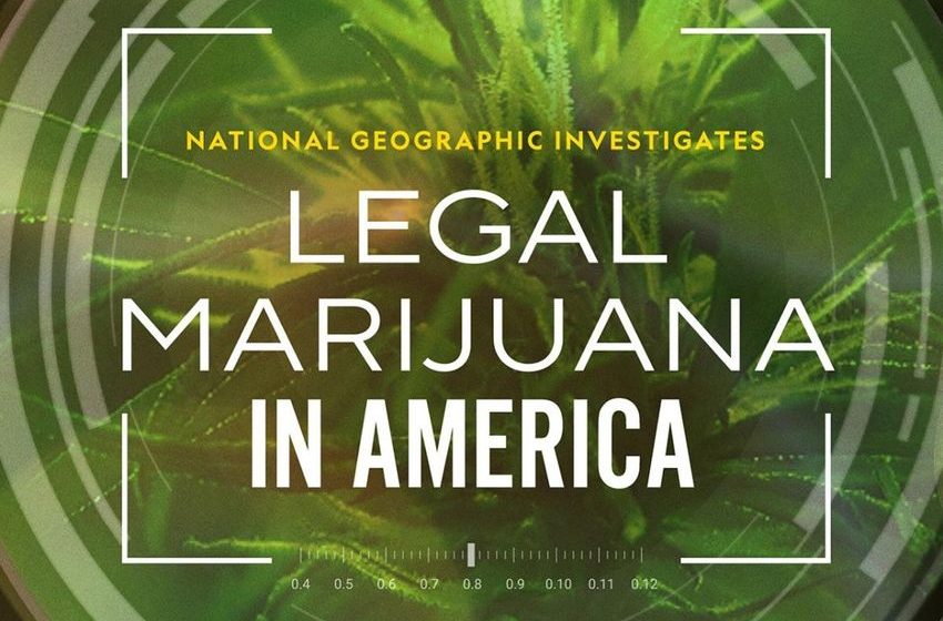  Stream It Or Skip It: ‘National Geographic Investigates: Legal Marijuana In America’ on Hulu, Where The Verdict Is Inconclusive