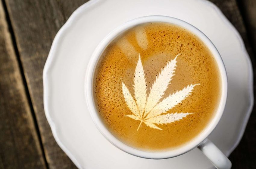  New California Bill Proposes Legalizing Authentic Cannabis Cafes