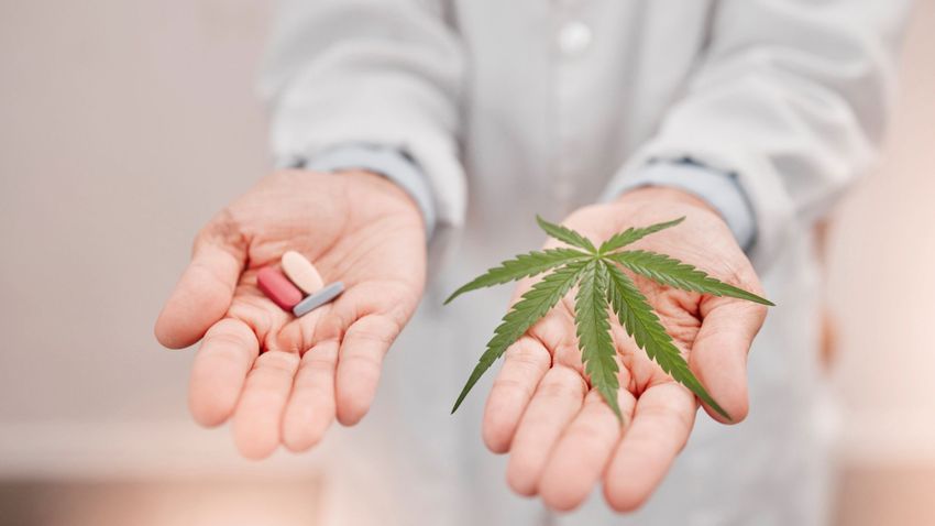  Opioid overdoses may one day be cured by marijuana compounds