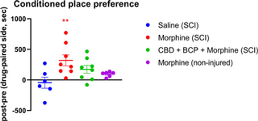  Combined non-psychoactive Cannabis components cannabidiol and β-caryophyllene reduce chronic pain via CB1 interaction in a rat spinal cord injury model