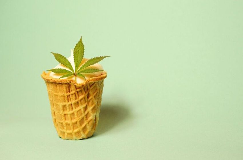  Hemp-Based Ice Creams – Planet Based Foods’ Allergen-Free Ice Cream Explores Classic Flavor (TrendHunter.com)