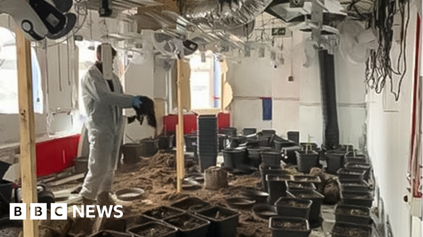  Barry bingo hall cannabis farm is uncovered by police