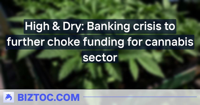  High & Dry: Banking crisis to further choke funding for cannabis sector