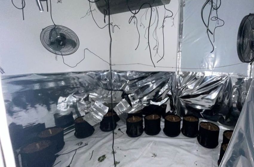  Ex-cannabis farm in London up for sale to the highest bidder