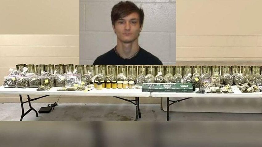  Marijuana, mushrooms seized, Sparta man arrested