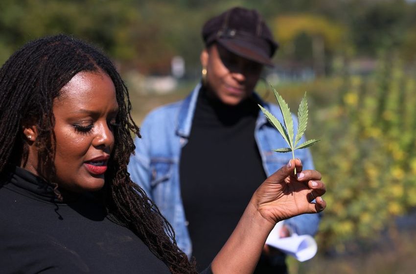  Why New York’s cannabis equity program is stranding women entrepreneurs