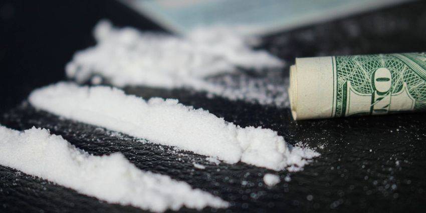  Cocaine production hits record high as post-Covid demand picks up in Europe