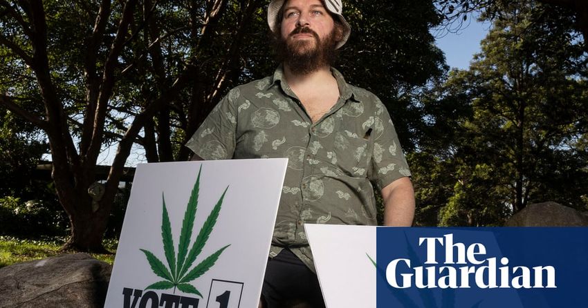  NSW election: Legalise Cannabis eyeing an upper house seat in bid to overturn drug-driving law