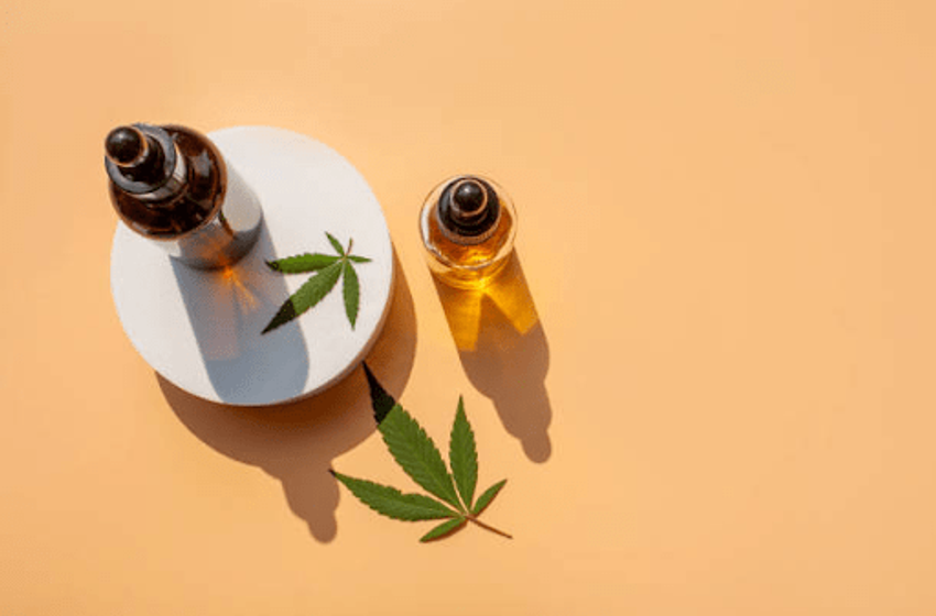  Best CBD Oils Of 2023: Top Brands Of CBD Oil Reviewed