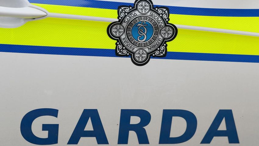  Two men charged after growhouse discovered in Co Roscommon