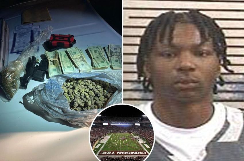  Alabama freshman football player Tony Mitchell arrested, charged with marijuana possession