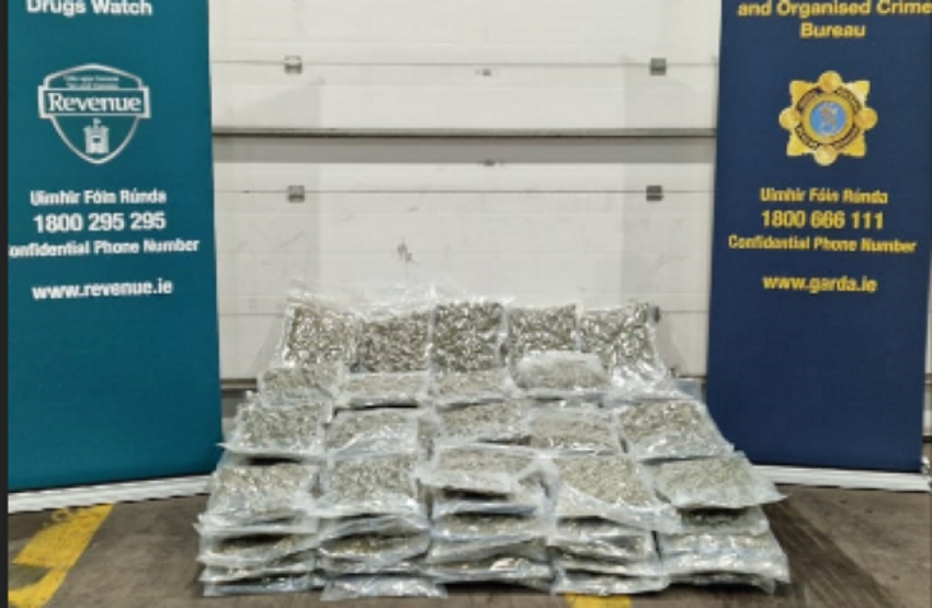  €1.1 million worth of cannabis seized in Kildare