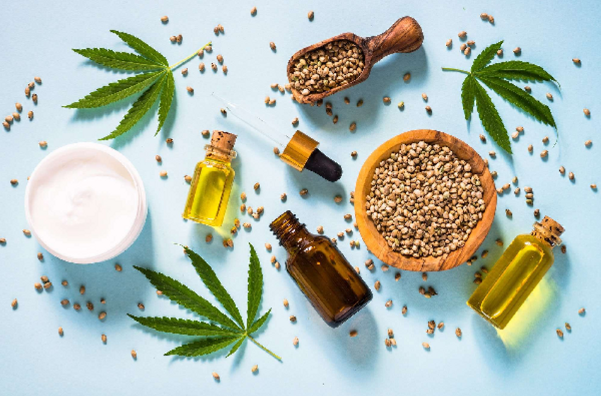  Hemp-based Products Sales Valuation to Cross USD 3.9 billion by 2031, Growing Popularity of Hemp-Based Products Fueling Market Demand: TMR Report