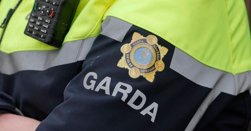  Cocaine, cannabis and cash seized in Co Wicklow raids